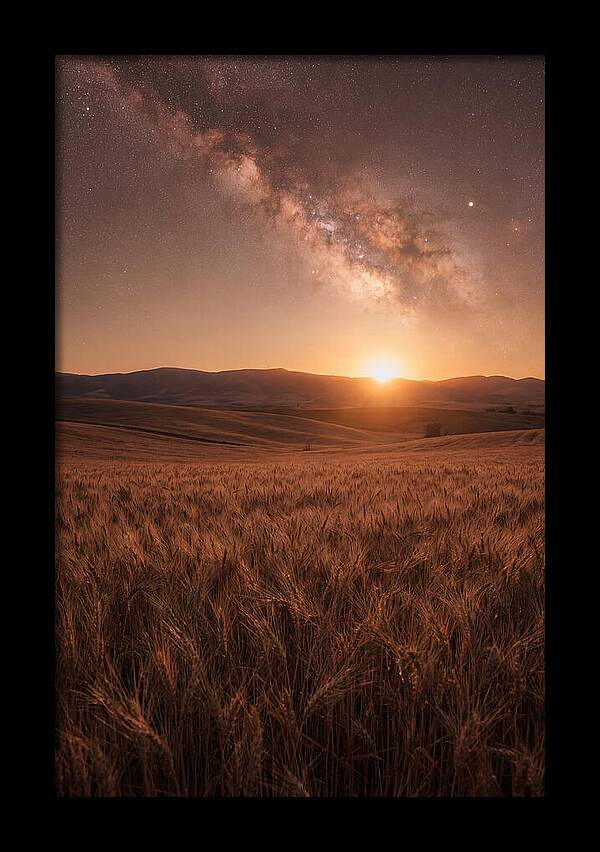 Summer Milky Way Over Wheat Field