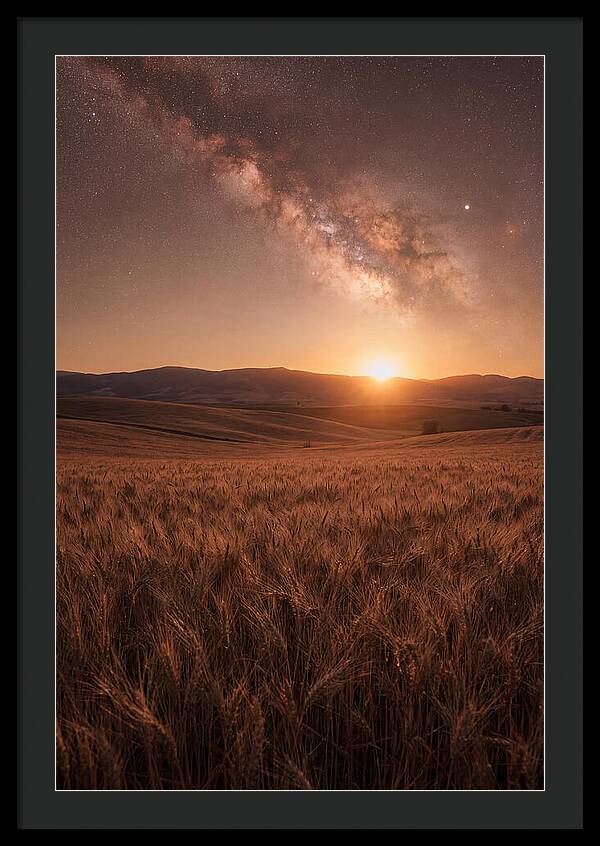 Summer Milky Way Over Wheat Field