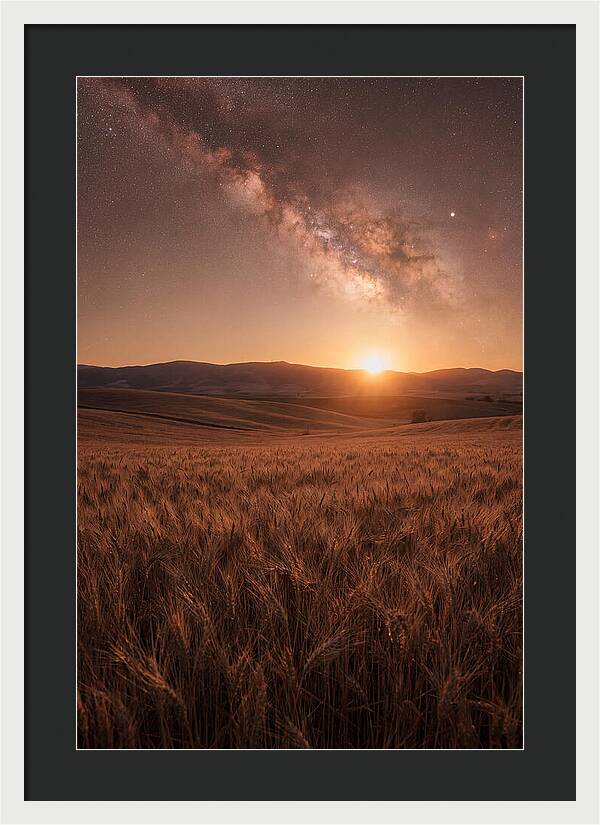 Summer Milky Way Over Wheat Field