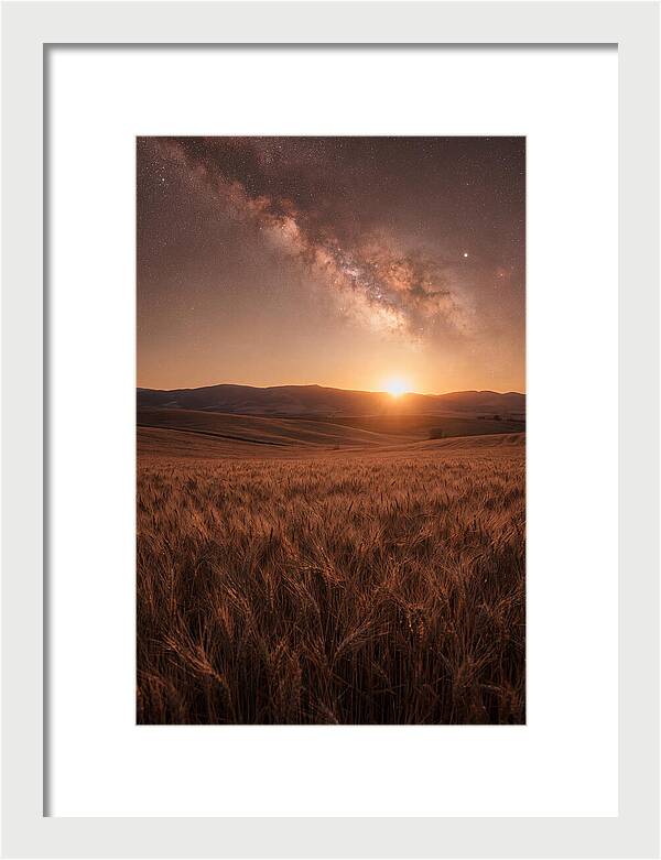 Summer Milky Way Over Wheat Field