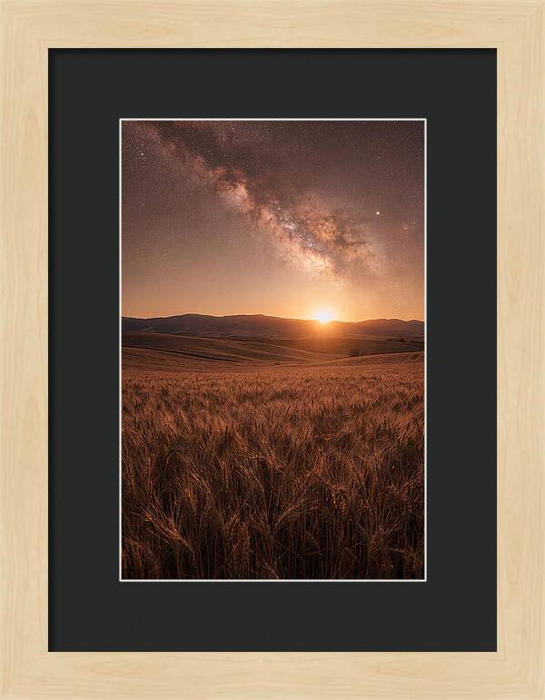 Summer Milky Way Over Wheat Field