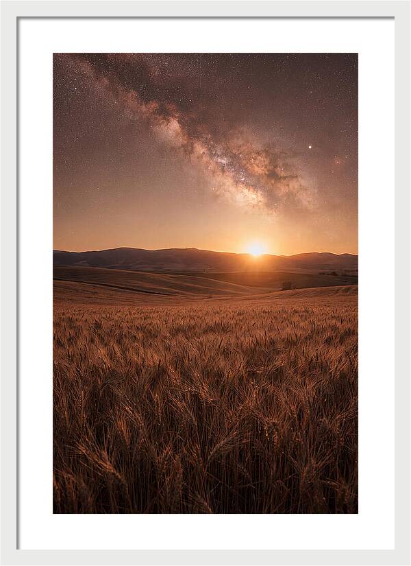Summer Milky Way Over Wheat Field