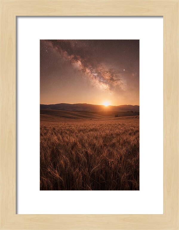 Summer Milky Way Over Wheat Field
