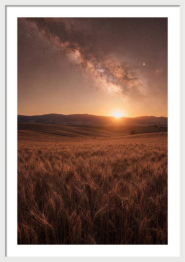 Summer Milky Way Over Wheat Field