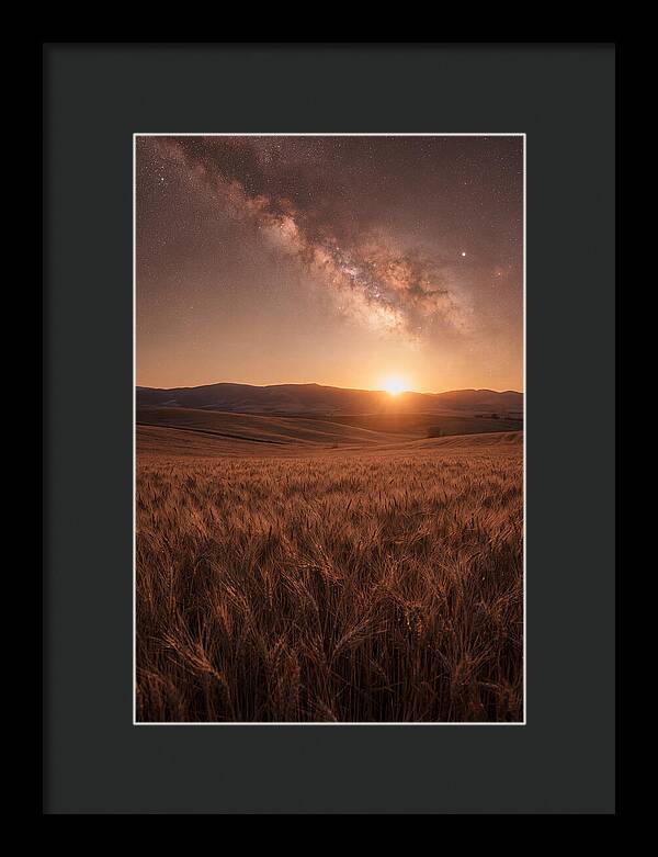 Summer Milky Way Over Wheat Field