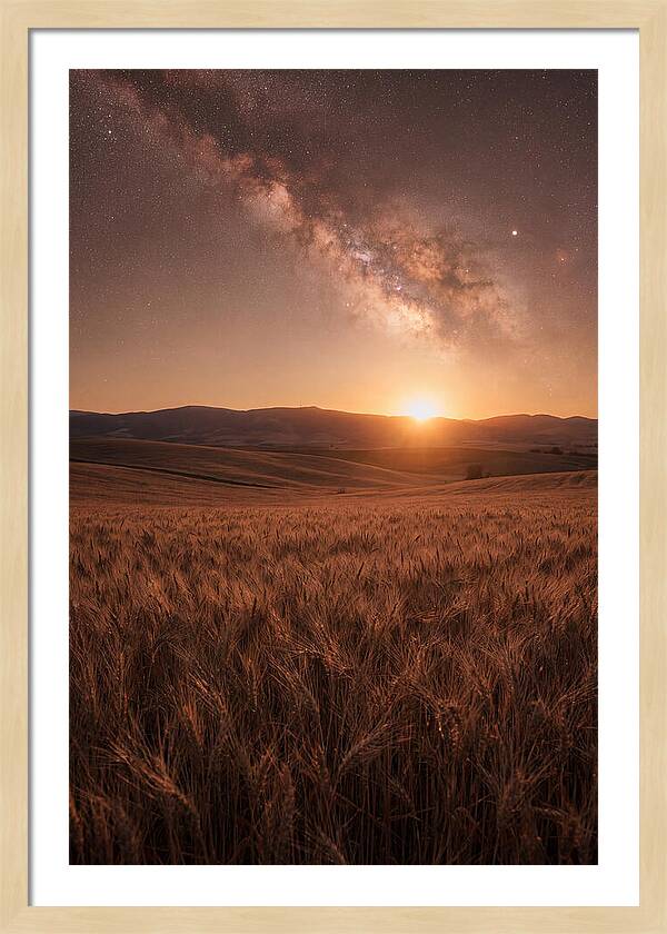 Summer Milky Way Over Wheat Field