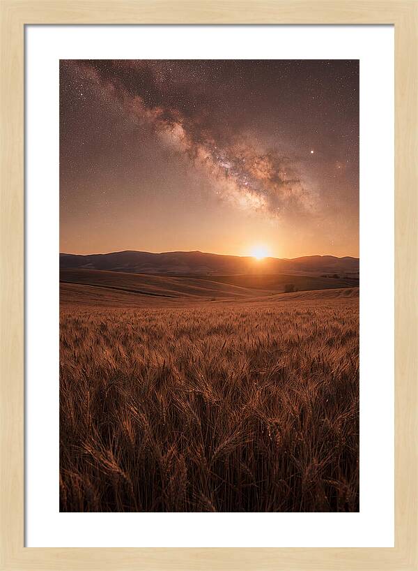 Summer Milky Way Over Wheat Field