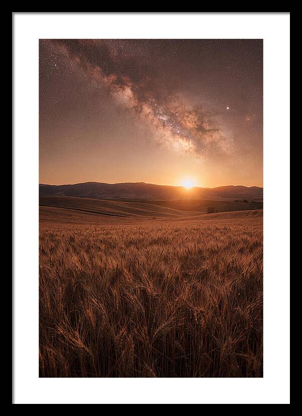 Summer Milky Way Over Wheat Field