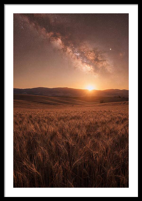 Summer Milky Way Over Wheat Field