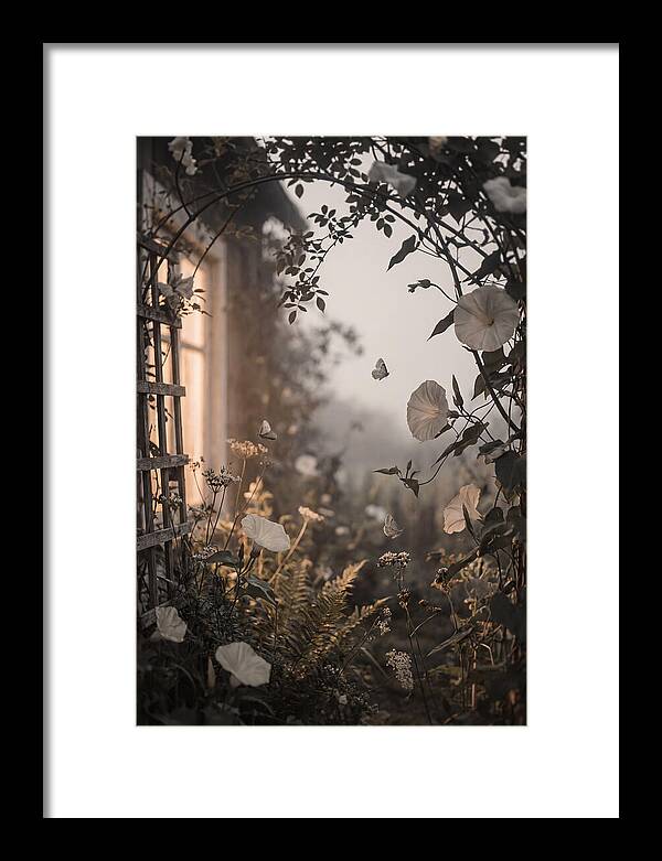 Summer Night Garden With Moths And Moon
