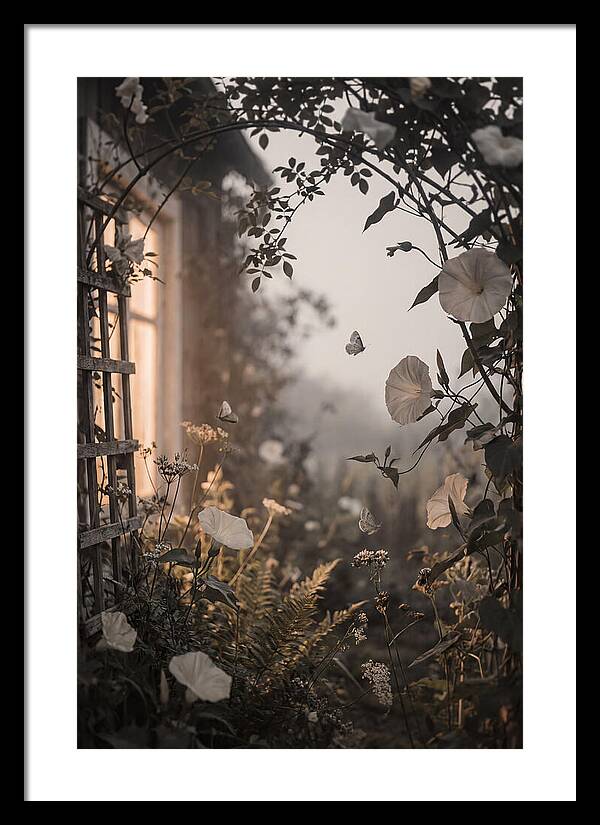 Summer Night Garden With Moths And Moon