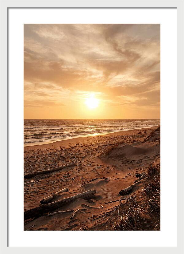 Summer Sunset Serenity