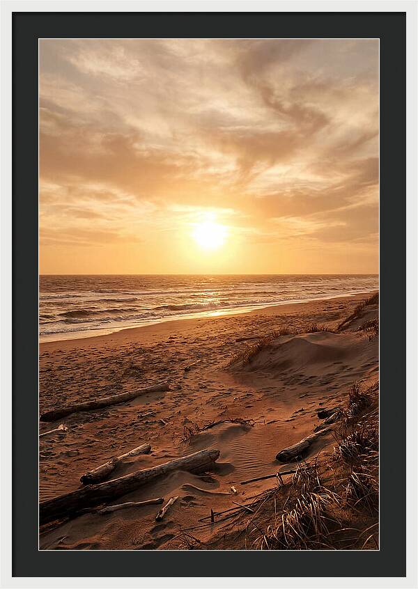 Summer Sunset Serenity