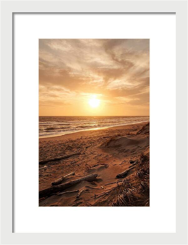 Summer Sunset Serenity