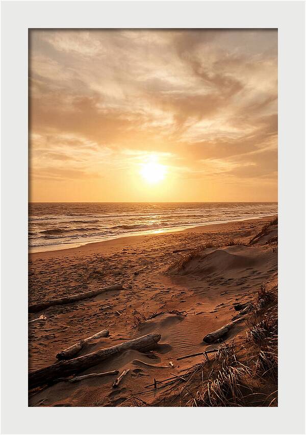Summer Sunset Serenity