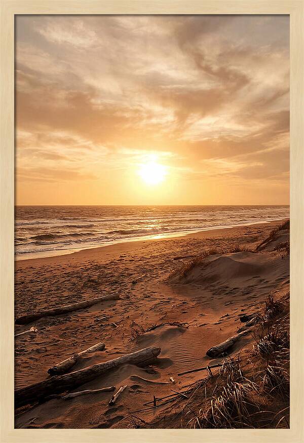 Summer Sunset Serenity