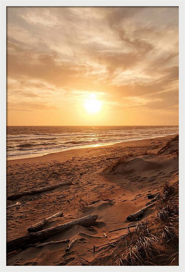 Summer Sunset Serenity