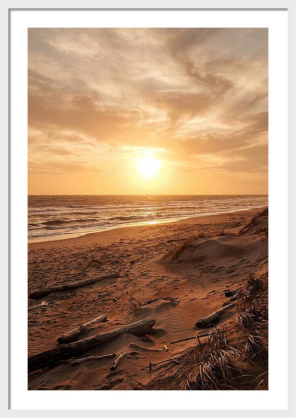 Summer Sunset Serenity