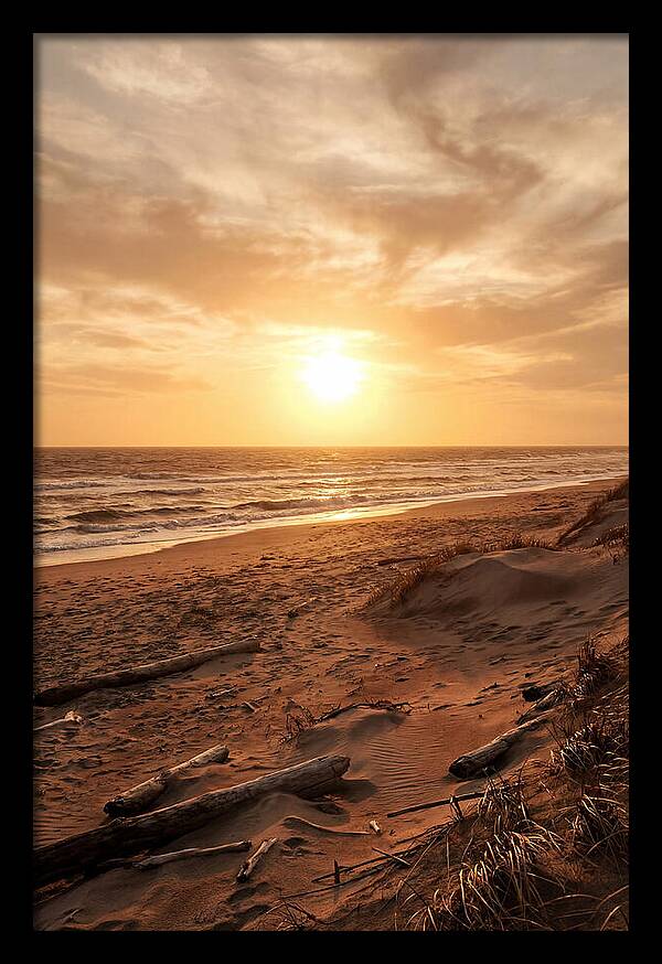 Summer Sunset Serenity