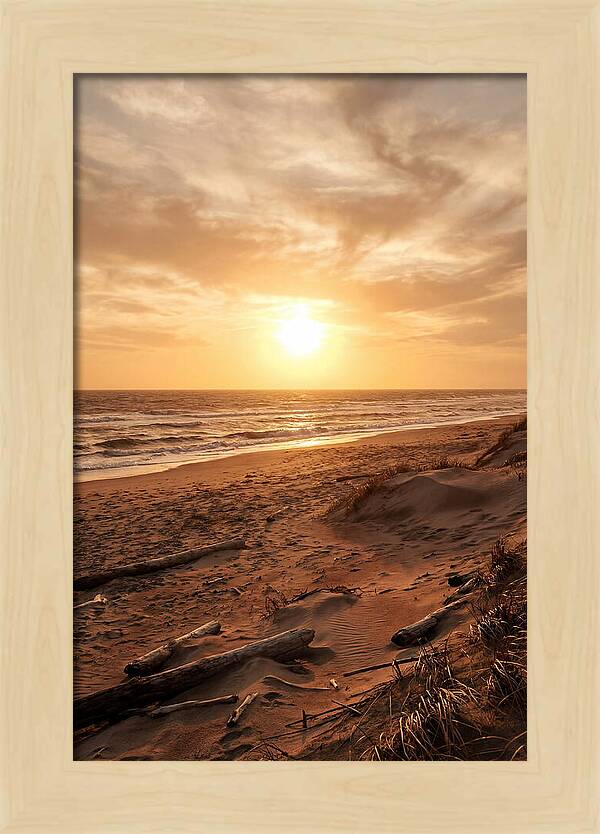 Summer Sunset Serenity