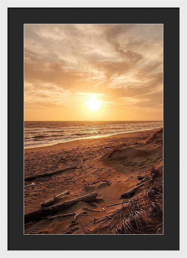 Summer Sunset Serenity