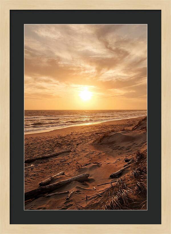 Summer Sunset Serenity