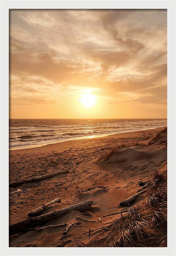 Summer Sunset Serenity