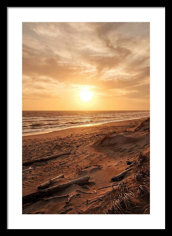 Summer Sunset Serenity