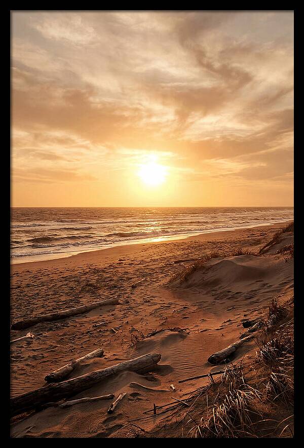 Summer Sunset Serenity