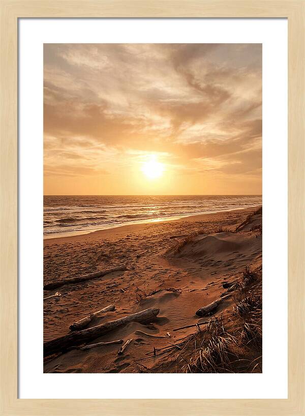 Summer Sunset Serenity