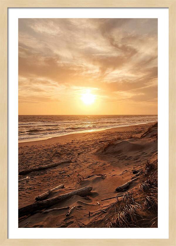 Summer Sunset Serenity