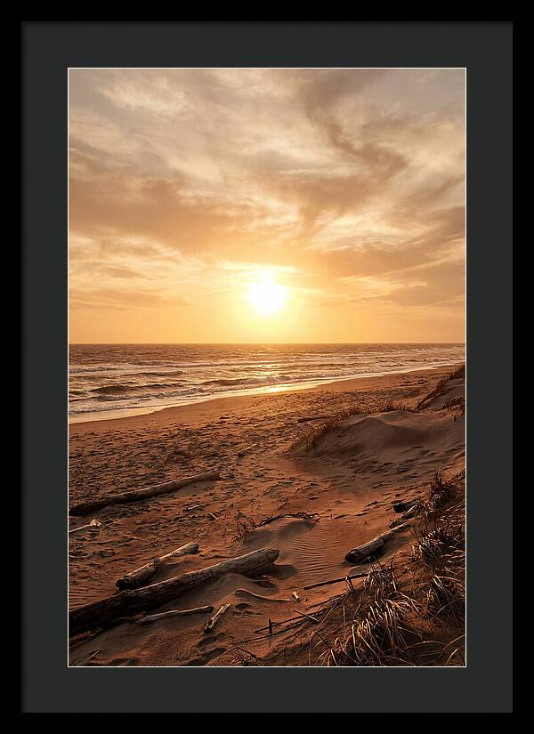 Summer Sunset Serenity
