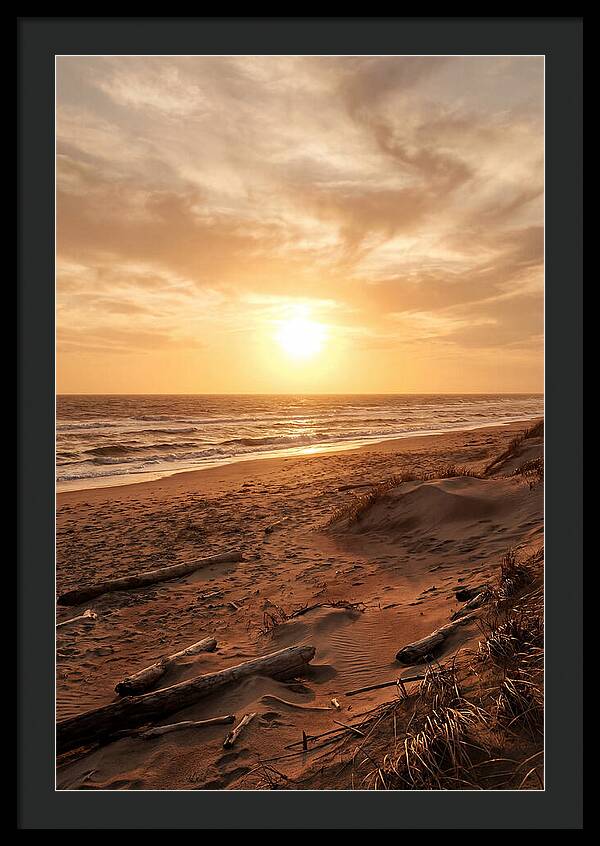 Summer Sunset Serenity