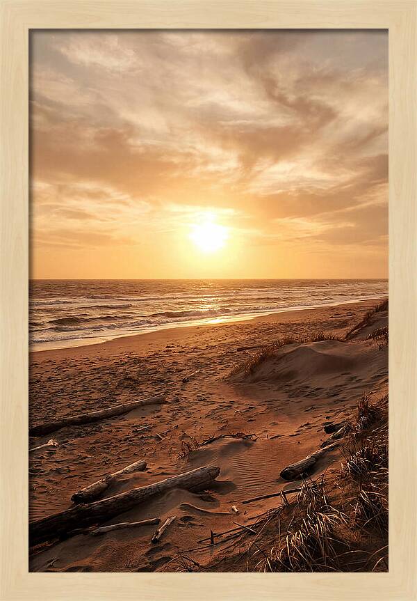 Summer Sunset Serenity
