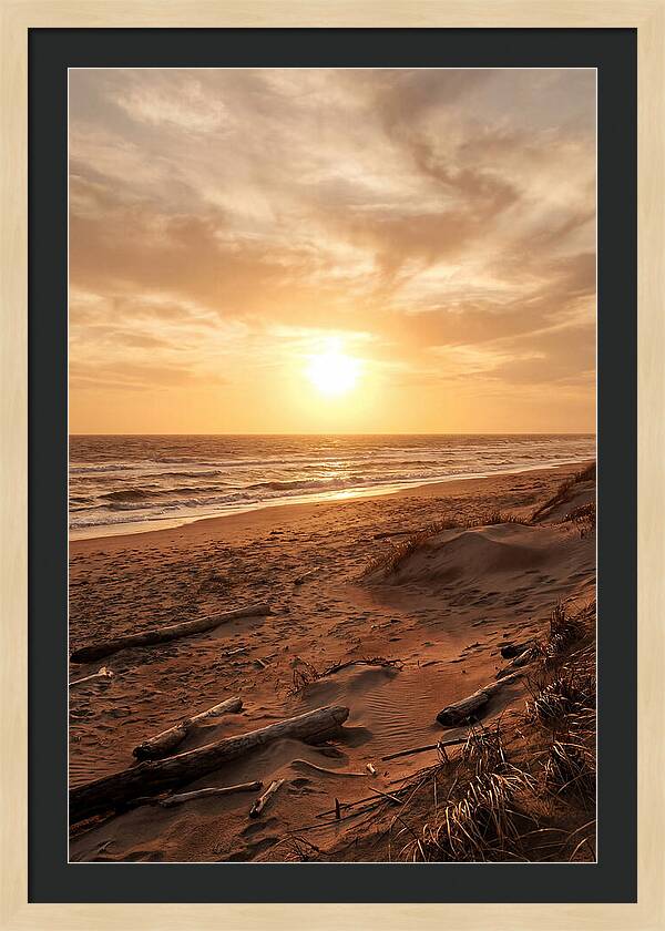 Summer Sunset Serenity
