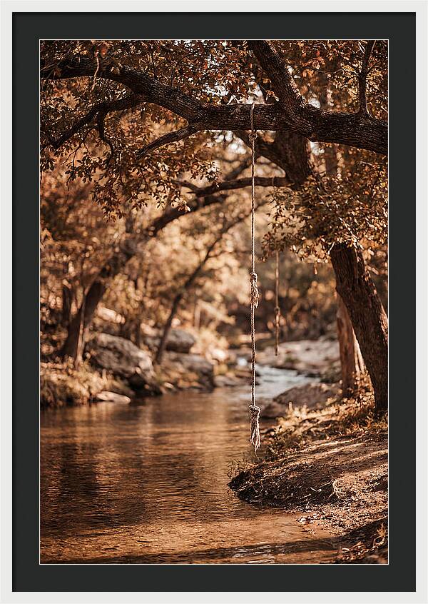 Summer Swimming Hole Serenity