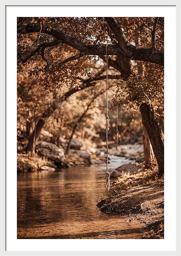 Summer Swimming Hole Serenity