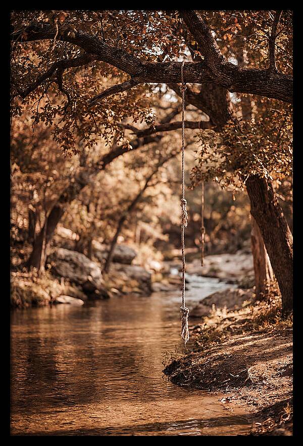 Summer Swimming Hole Serenity