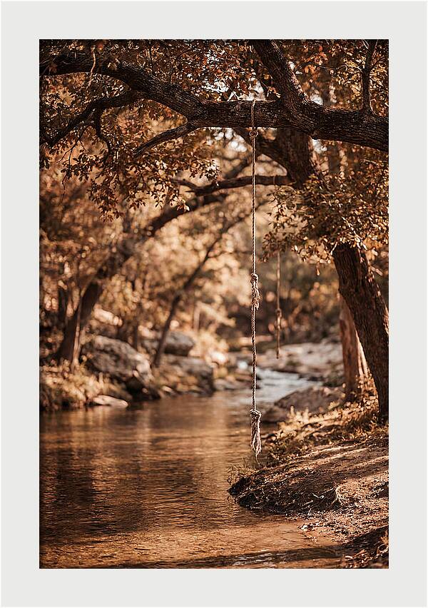 Summer Swimming Hole Serenity