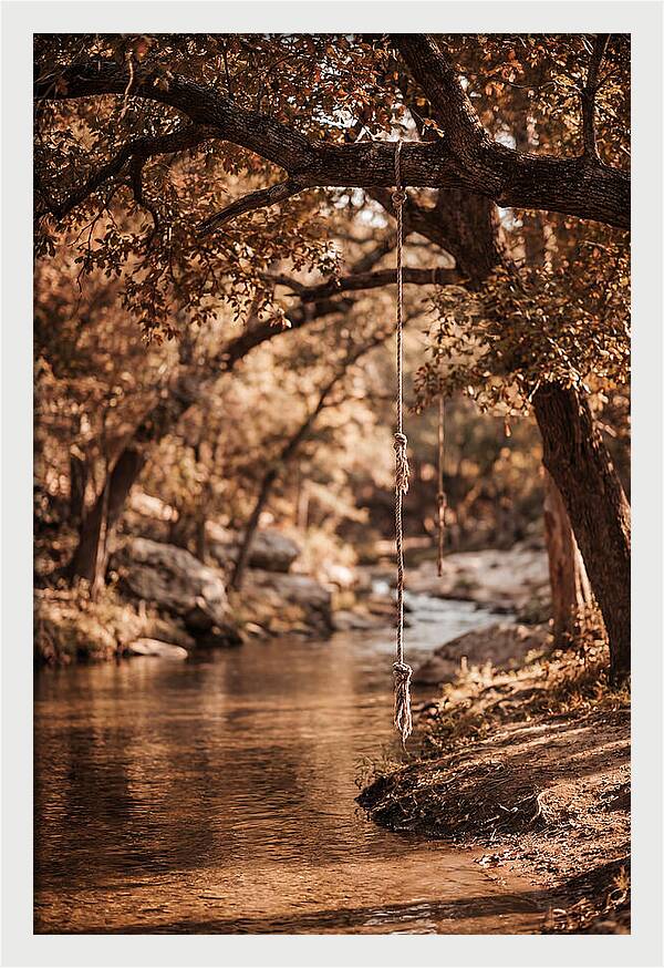 Summer Swimming Hole Serenity