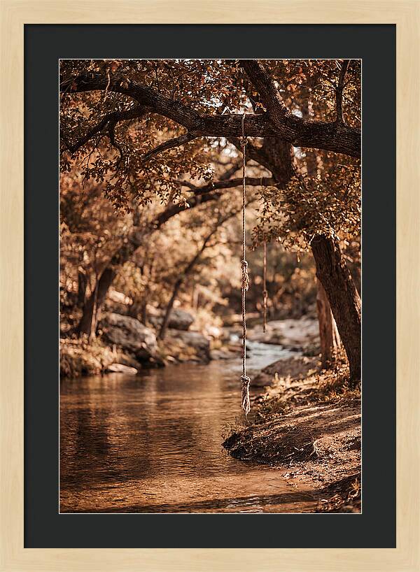 Summer Swimming Hole Serenity