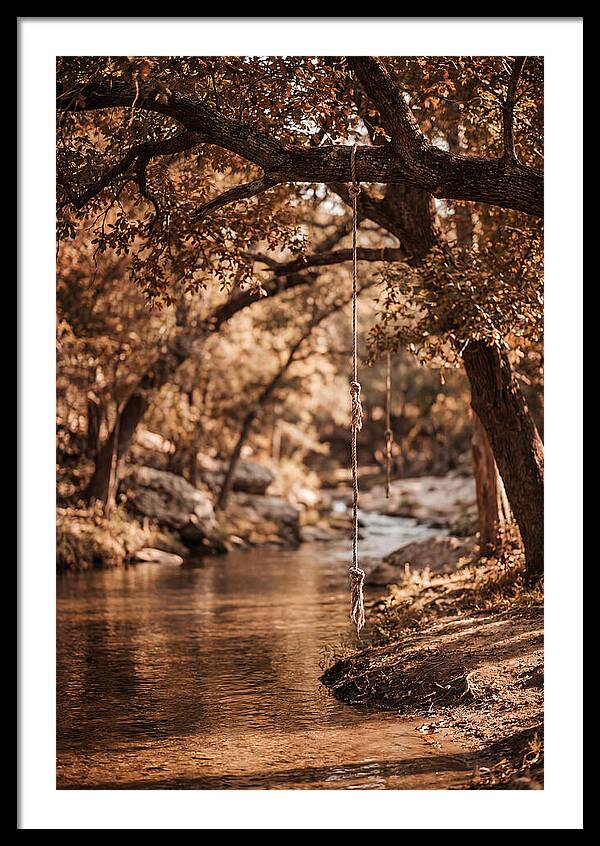 Summer Swimming Hole Serenity