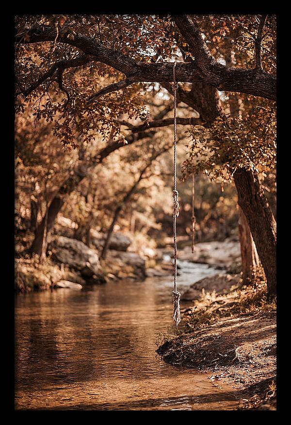 Summer Swimming Hole Serenity