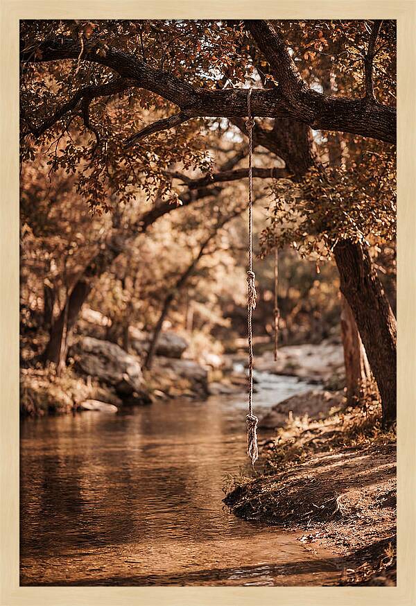 Summer Swimming Hole Serenity