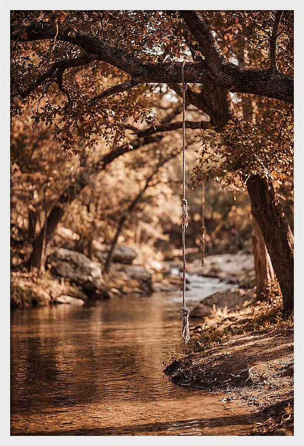 Summer Swimming Hole Serenity