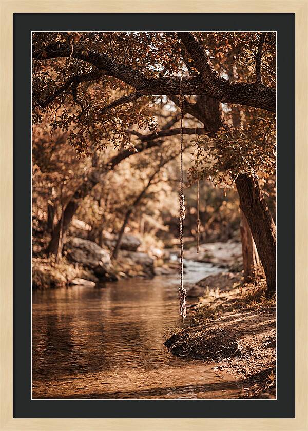 Summer Swimming Hole Serenity
