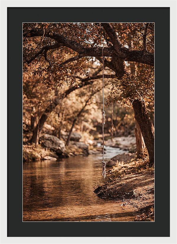 Summer Swimming Hole Serenity