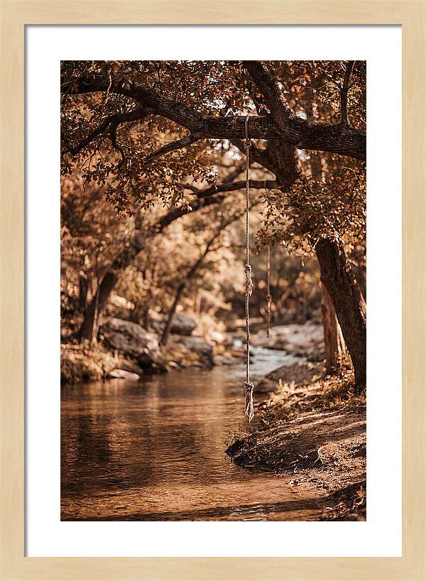 Summer Swimming Hole Serenity