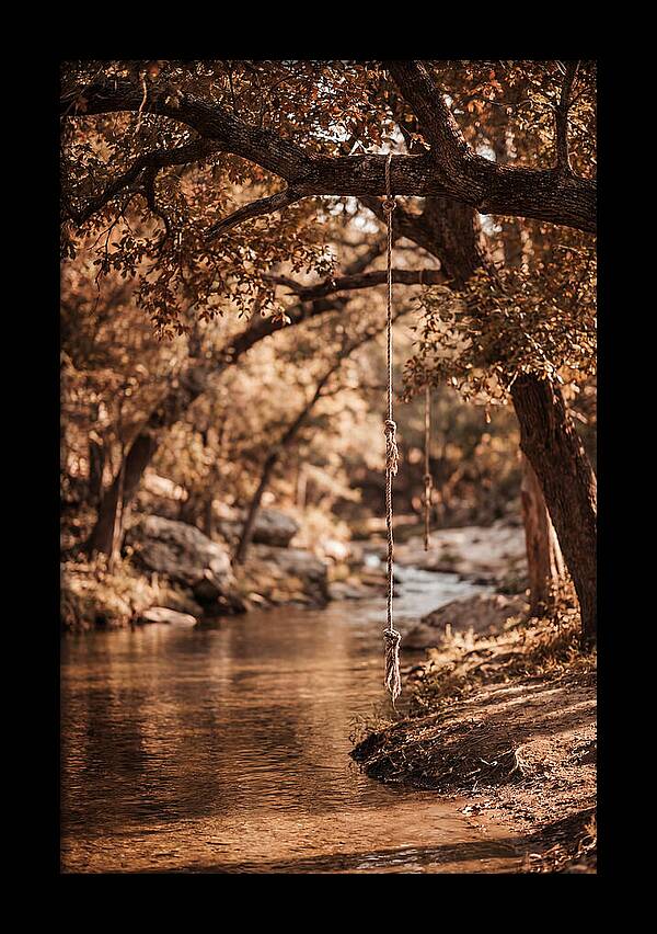 Summer Swimming Hole Serenity
