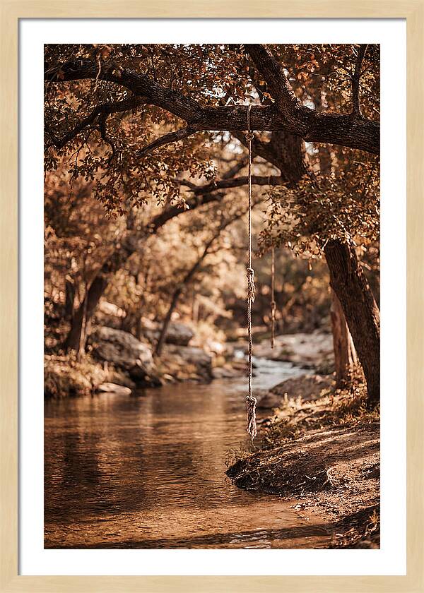 Summer Swimming Hole Serenity